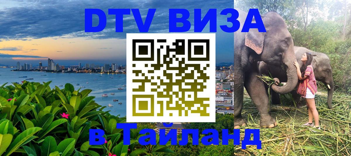 Сколько стоит DTV виза — актуальные цены, оформление даже без документов - Брюссель  04.10.2025 